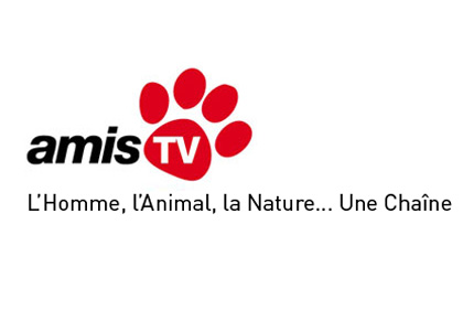 Amis TV