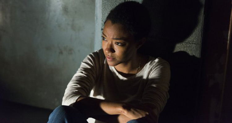 The Walking Dead saison 7 (Spoiler) : Dwight rejoint Rick, Sasha se suicide, une saison 8 compromise ?
