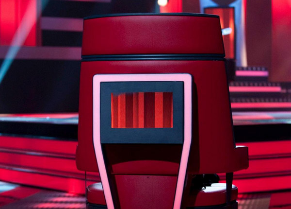 Quels visages connus du public ont participé à The Voice ?