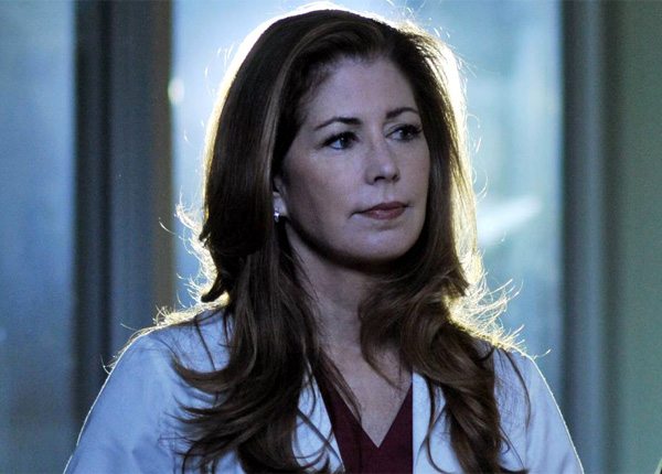 Dana Delany (Katherine Mayfair) débarque sur internet