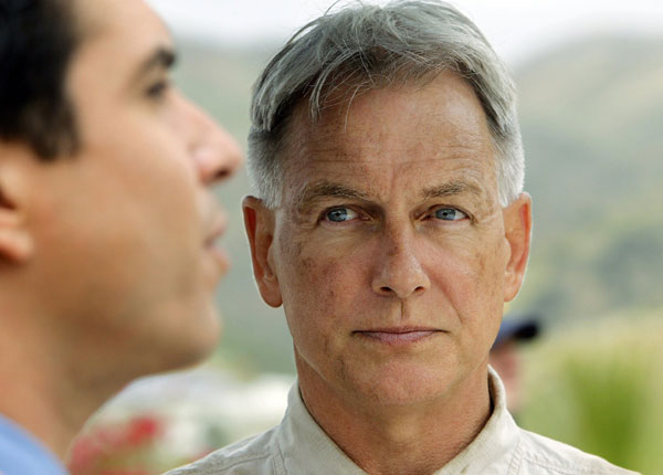 Gibbs dans le cartel