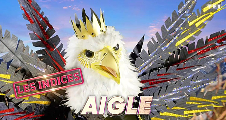 Mask Singer, la finale (TF1) : Qui est l'aigle ? Tous les indices dévoilés pour trouver la célébrité dans le costume