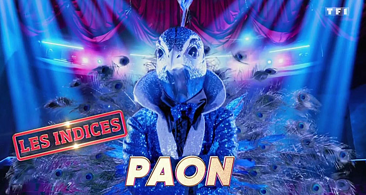 Mask Singer, la finale (TF1) : Qui est le paon ? Tous les indices dévoilés pour trouver la célébrité dans le costume