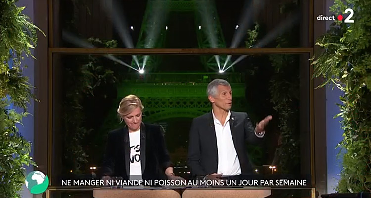 L'émission pour la Terre : quelle audience pour Nagui et Anne-Elisabeth Lemoine sur France 2 ? 