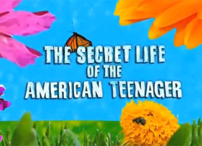 The Secret life of the american teenager