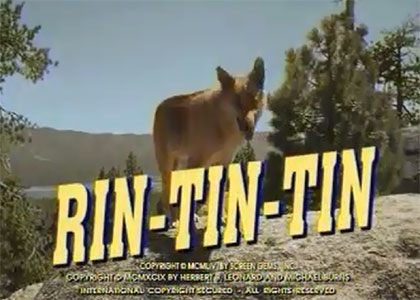 Rintintin