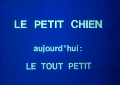 Le Petit chien
