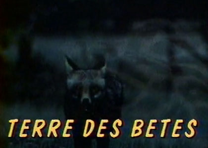 Terre des bêtes