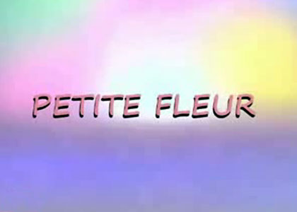 Petite fleur