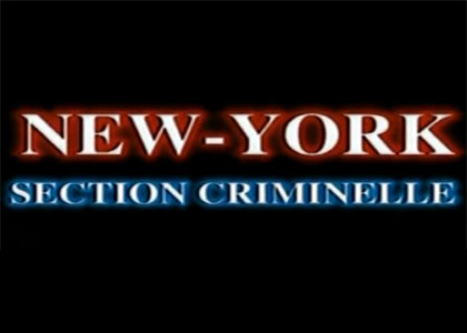 New York, section criminelle