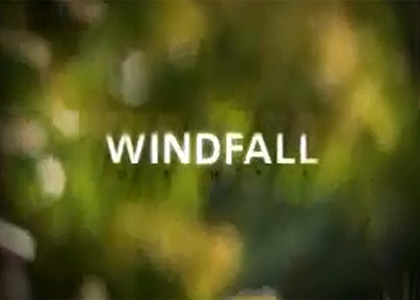 Windfall