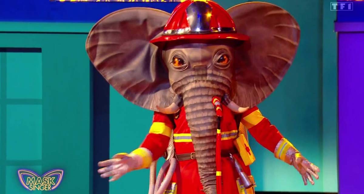 Mask Singer (TF1): quem é o elefante?  Todas as pistas reveladas para encontrar a celebridade fantasiada