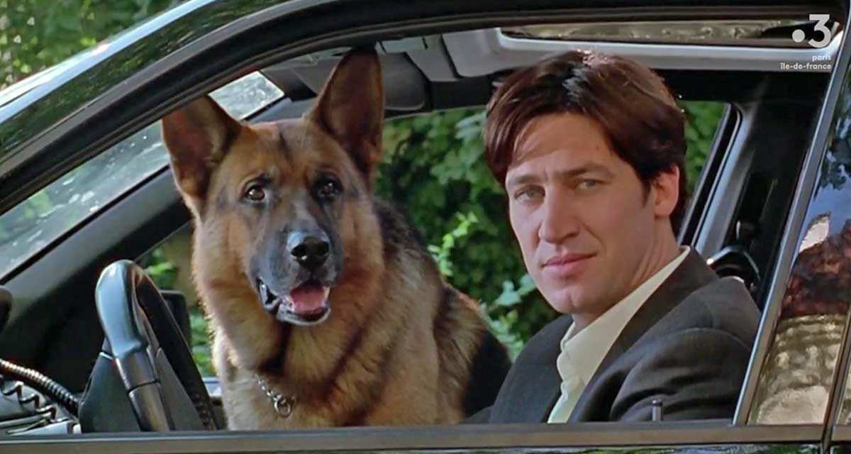 Chien flic promo rex