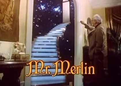 MONSIEUR MERLIN