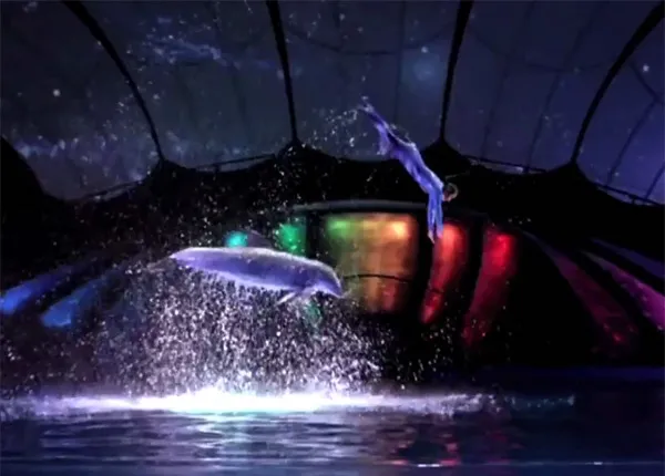Dolphins with the Stars : le nouveau concours où des célébrités nagent avec des dauphins bientôt en France ? Dolphins with the Stars : le nouveau concours où des célébrités nagent avec des dauphins bientôt en France ?