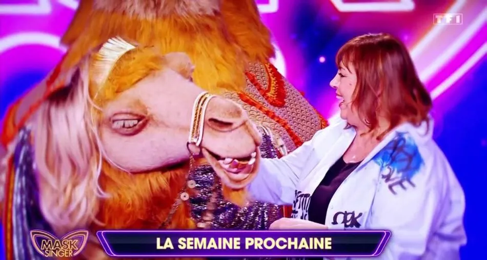 Mask Singer : qui est le husky, la méduse, la biche, le chameau ? Le nom des célébrités révélé pour la demi-finale sur TF1 Mask Singer : qui est le husky, la méduse, la biche, le chameau ? Le nom des célébrités révélé pour la demi-finale sur TF1