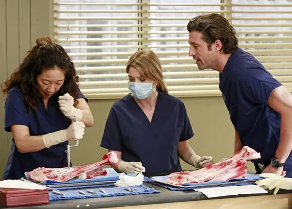 Grey’s anatomy : la série de TF1 la plus téléchargée légalement Grey’s anatomy : la série de TF1 la plus téléchargée légalement