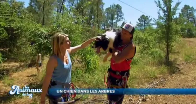 Punchline déprogrammé, Les animaux de la 8 décrochent cinq heures d’antenne Punchline déprogrammé, Les animaux de la 8 décrochent cinq heures d’antenne