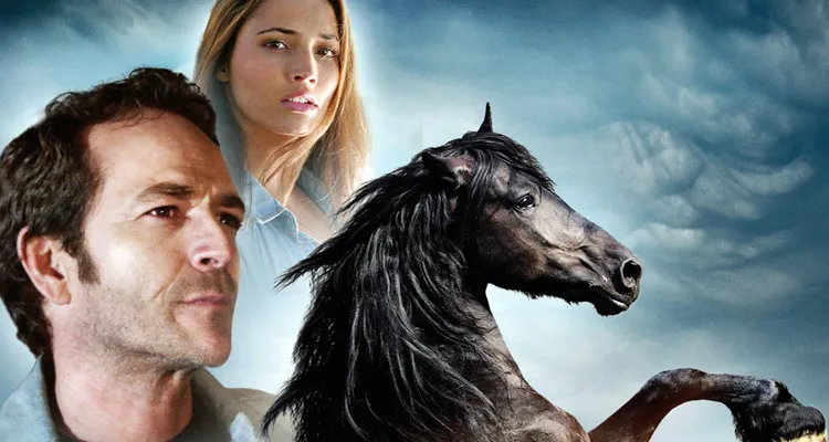 Programme TV de la soirée du 15 octobre 2016 : Le final d’Innocente, le lancement de Danse avec les stars, la fin de saison de Legends of tomorrow, Black Beauty avec Luke Perry... Programme TV de la soirée du 15 octobre 2016 : Le final d’Innocente, le lancement de Danse avec les stars, la fin de saison de Legends of tomorrow, Black Beauty avec Luke Perry...