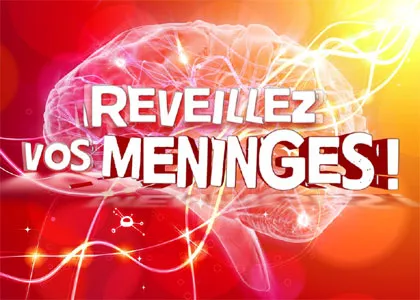 REVEILLEZ VOS MENINGES !