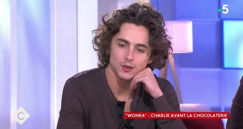 Timothée Chalamet invité de C à vous pour le film « Wonka ».