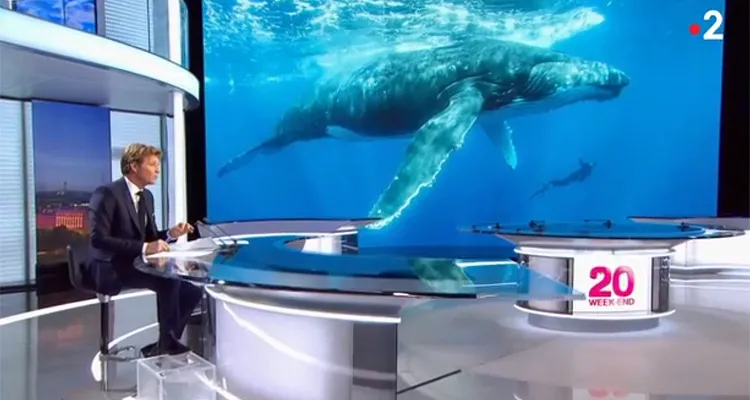 Audiences JT (dimanche 27 janvier 2019) : Anne-Claire Coudray écrase Laurent Delahousse, Nathalie Renoux fragilisée Audiences JT (dimanche 27 janvier 2019) : Anne-Claire Coudray écrase Laurent Delahousse, Nathalie Renoux fragilisée