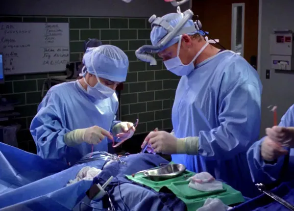 Grey’s anatomy : le rachat du Seattle Grace laisse le public de TF1 en émoi Grey’s anatomy : le rachat du Seattle Grace laisse le public de TF1 en émoi