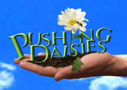 PUSHING DAISIES
