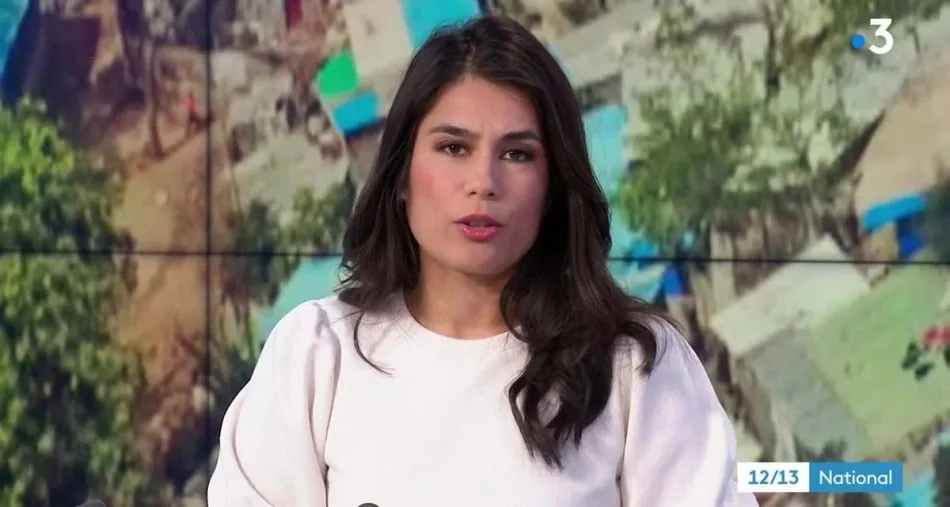 France 3 : Émilie Tran Nguyen évincée en plein succès sur la chaîne publique France 3 : Émilie Tran Nguyen évincée en plein succès sur la chaîne publique