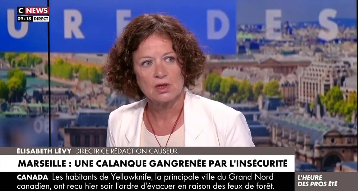L’Heure des Pros : Elisabeth Lévy menacée par Elodie Huchard en direct sur CNews L’Heure des Pros : Elisabeth Lévy menacée par Elodie Huchard en direct sur CNews