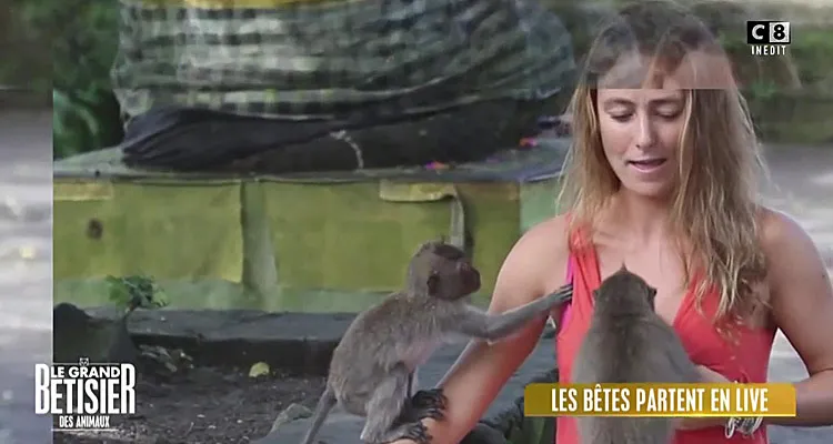 Audiences TV Access (samedi 28 décembre 2019) : le bêtisier de C8 fait recette, 50 mn inside battu par un puissant N’oubliez pas les paroles Audiences TV Access (samedi 28 décembre 2019) : le bêtisier de C8 fait recette, 50 mn inside battu par un puissant N’oubliez pas les paroles
