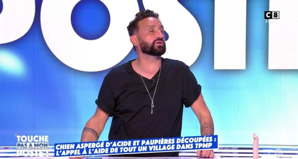 Touche pas à mon poste : Cyril Hanouna stoppé en direct par une personne du public, tensions entre Kelly Vedovelli et Hugo Manos sur C8 Touche pas à mon poste : Cyril Hanouna stoppé en direct par une personne du public, tensions entre Kelly Vedovelli et Hugo Manos sur C8
