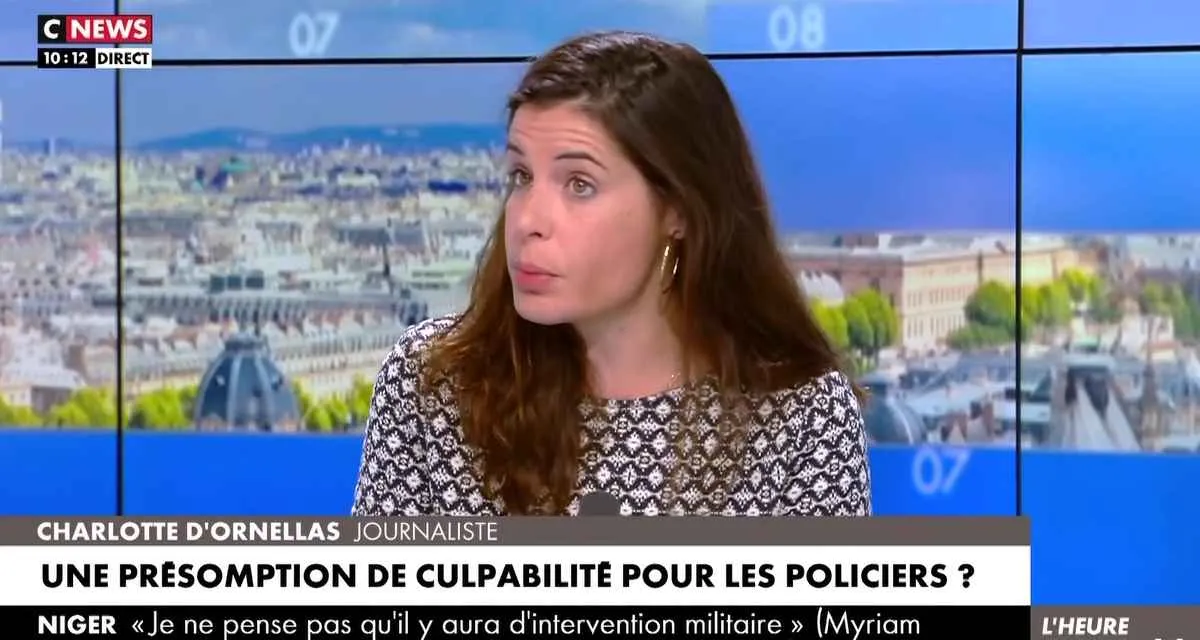 L’Heure des Pros : Charlotte d’Ornellas attaquée sur CNews, le remplaçant de Pascal Praud contraint d’intervenir L’Heure des Pros : Charlotte d’Ornellas attaquée sur CNews, le remplaçant de Pascal Praud contraint d’intervenir