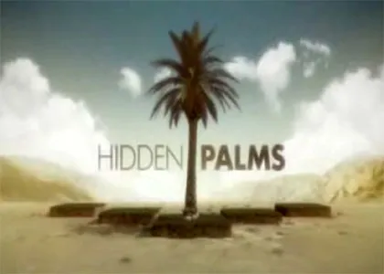 HIDDEN PALMS