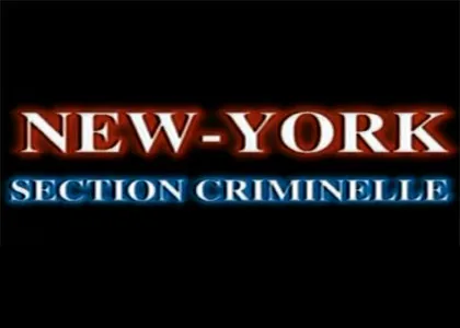 NEW YORK, SECTION CRIMINELLE