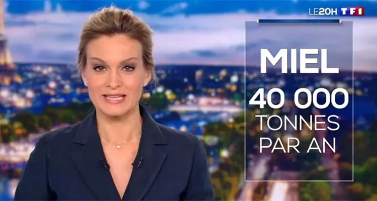 Audiences JT (dimanche 6 janvier 2019) : Audrey Crespo-Mara en grande forme face au retour de Laurent Delahousse, Nathalie Renoux débute 2019 avec succès Audiences JT (dimanche 6 janvier 2019) : Audrey Crespo-Mara en grande forme face au retour de Laurent Delahousse, Nathalie Renoux débute 2019 avec succès