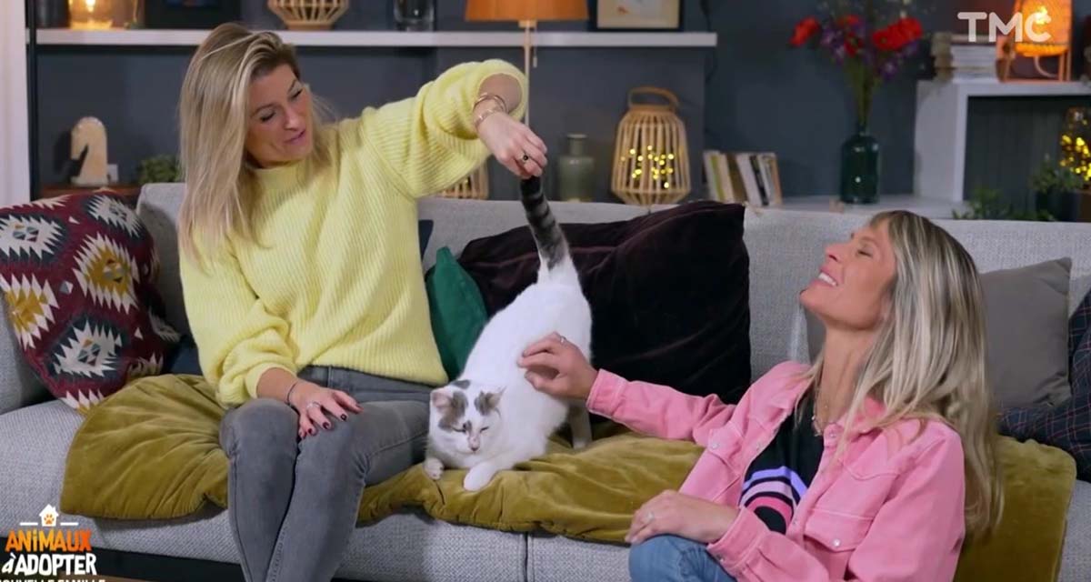 Animaux à adopter : c’est déjà un carton pour Elodie Ageron et Sandrine Arcizet sur TMC Animaux à adopter : c’est déjà un carton pour Elodie Ageron et Sandrine Arcizet sur TMC