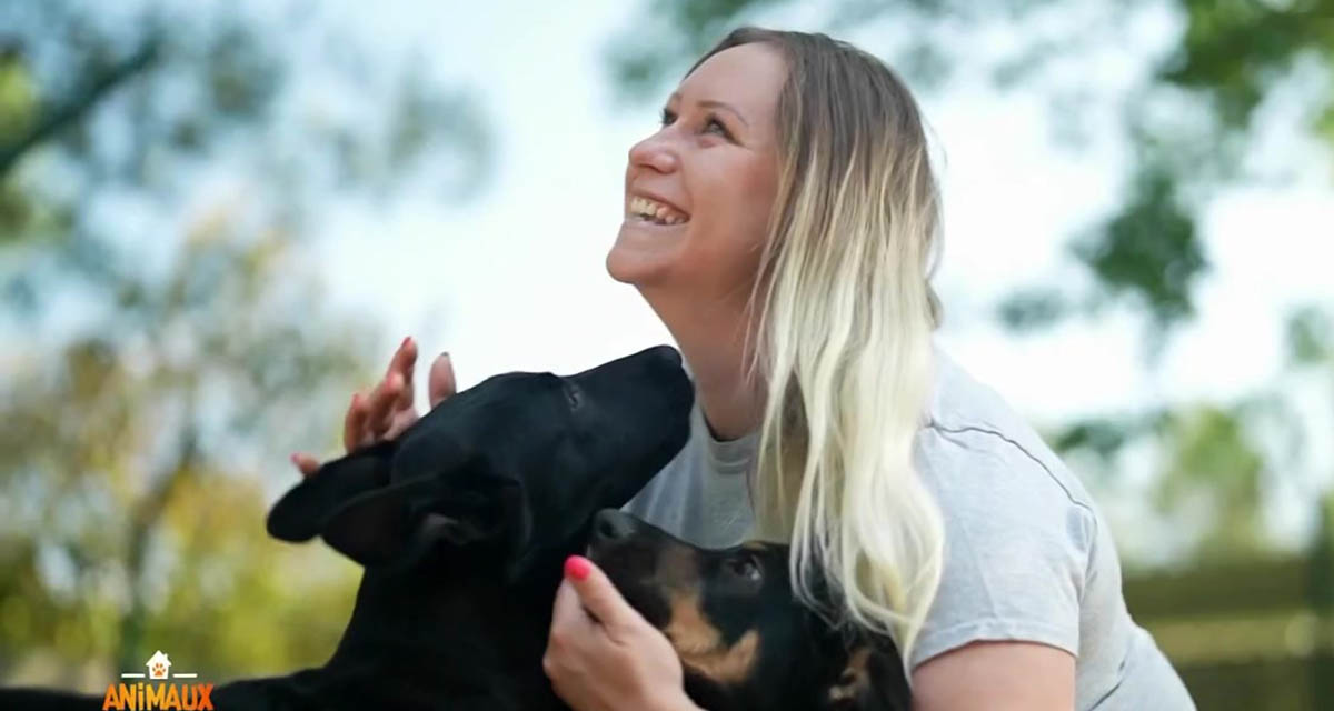 Animaux à adopter plus fort que Les Mystères de l’amour sur TMC ? L’audience dévoilée Animaux à adopter plus fort que Les Mystères de l’amour sur TMC ? L’audience dévoilée