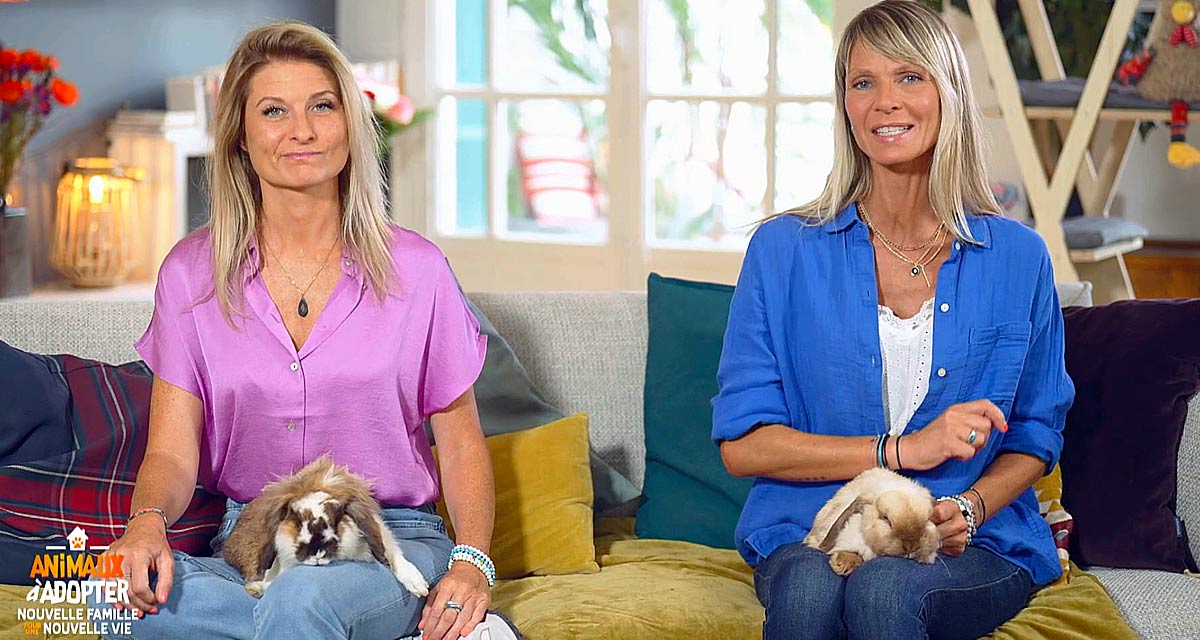 Animaux à adopter : succès d’audience confirmé avant un changement déjà acté pour Elodie Ageron et Sandrine Arcizet Animaux à adopter : succès d’audience confirmé avant un changement déjà acté pour Elodie Ageron et Sandrine Arcizet