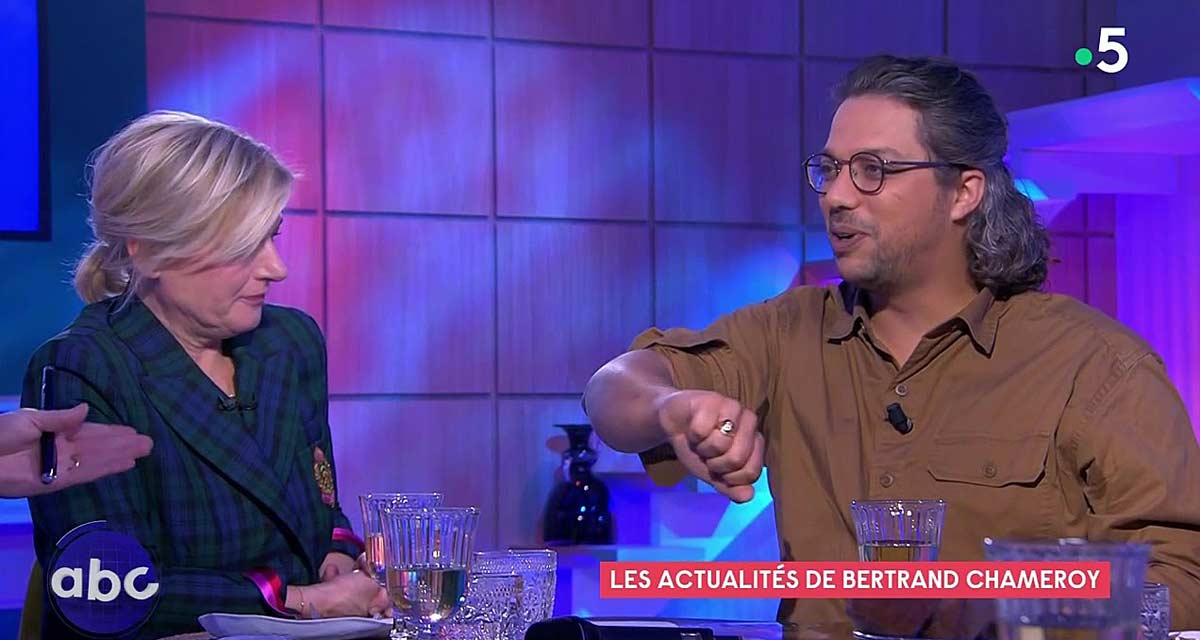 C à vous : deux chroniqueurs se bagarrent, Anne-Élisabeth Lemoine présente ses excuses sur France 5