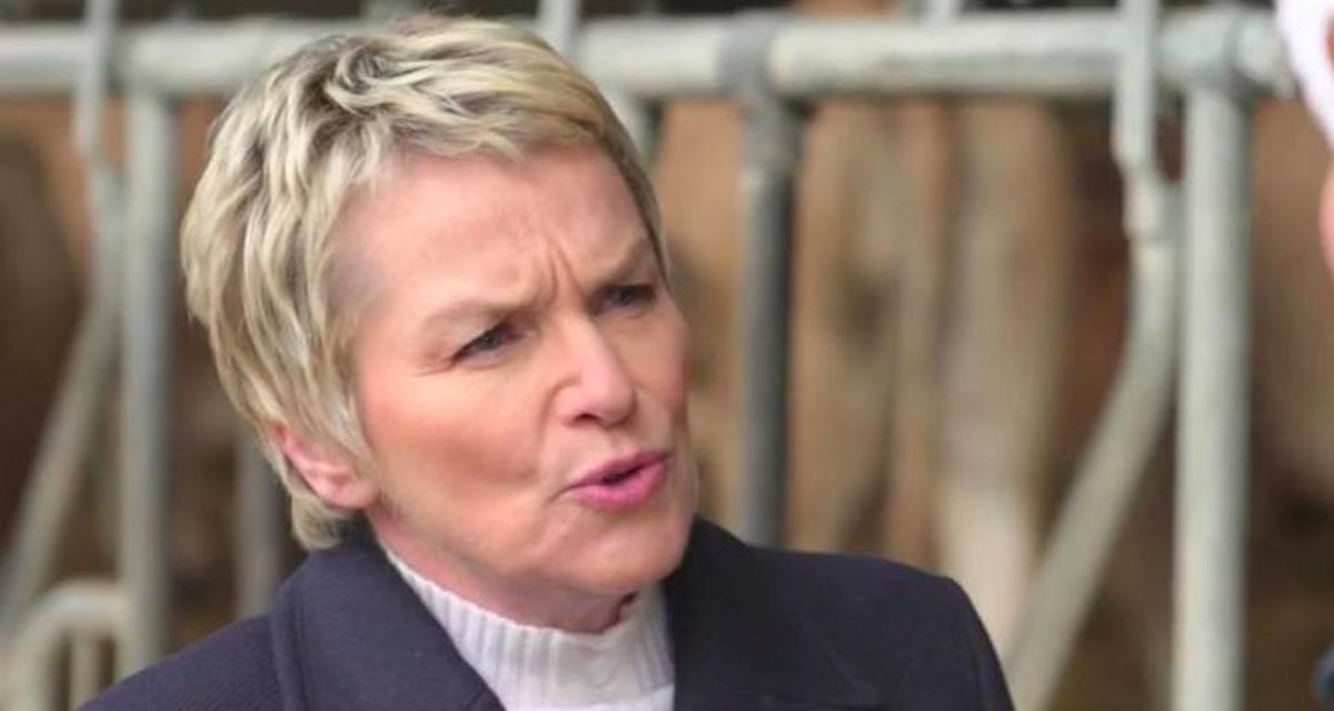 L’éviction d’Élise Lucet, la décision gagnante de France 2 ? L’éviction d’Élise Lucet, la décision gagnante de France 2 ?
