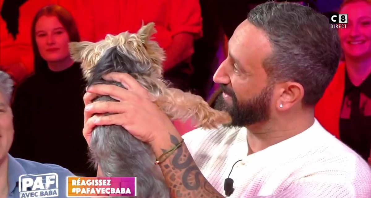 Touche pas à mon poste : Cyril Hanouna dézingue un célèbre ministre, Valérie Benaïm victime d’une tricherie sur C8