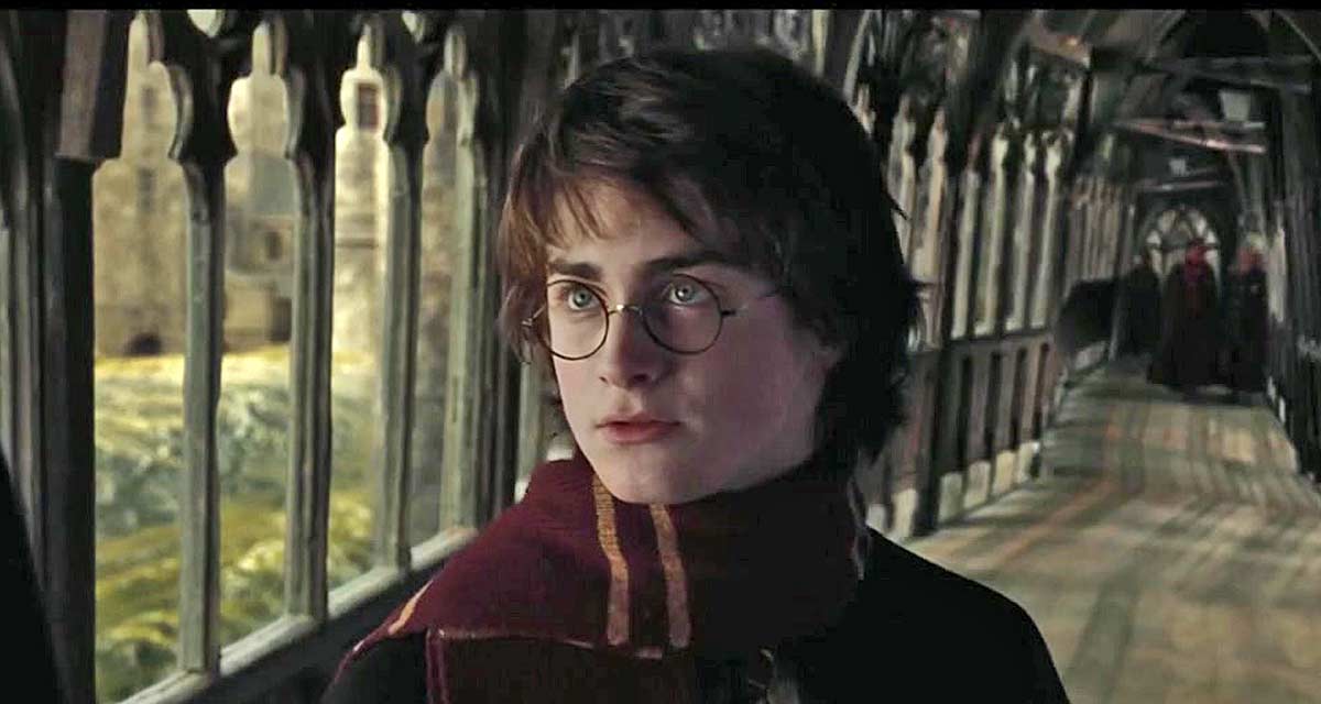 Carton d’audience pour Harry Potter et la coupe de feu, la soirée magique de TF1