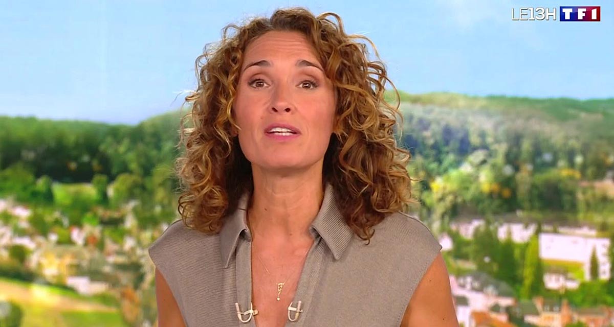 Marie-Sophie Lacarrau : le verdict est tombé Marie-Sophie Lacarrau : le verdict est tombé