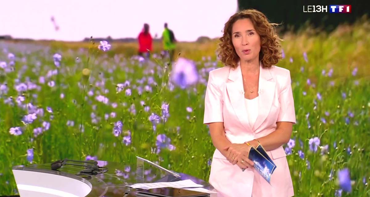 Marie-Sophie Lacarrau, coup de tonnerre confirmé sur TF1 Marie-Sophie Lacarrau, coup de tonnerre confirmé sur TF1