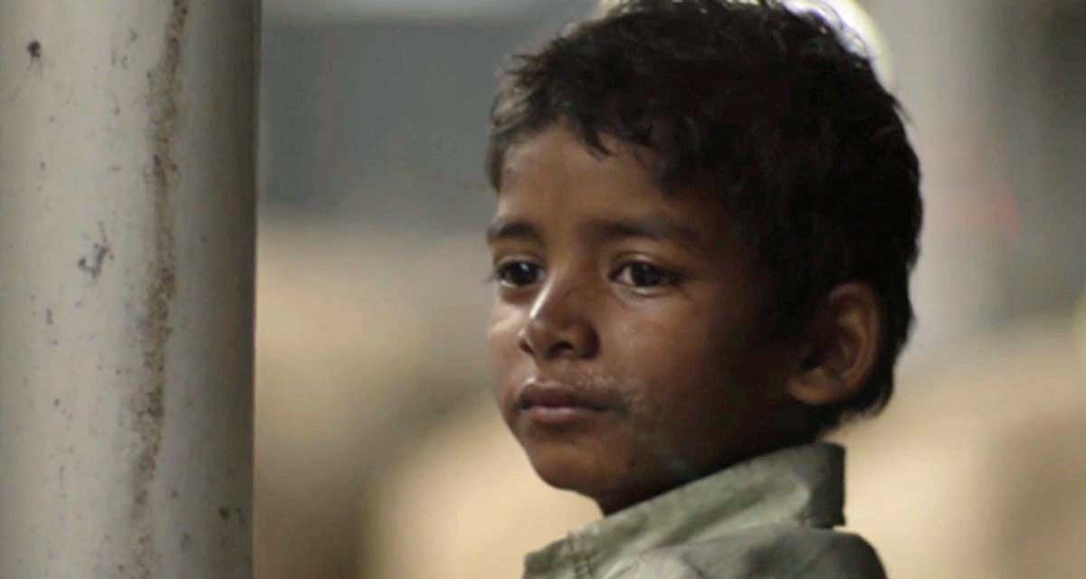 Lion : une histoire vraie étonnante pour le film avec Dev Patel et Nicole Kidman Lion : une histoire vraie étonnante pour le film avec Dev Patel et Nicole Kidman