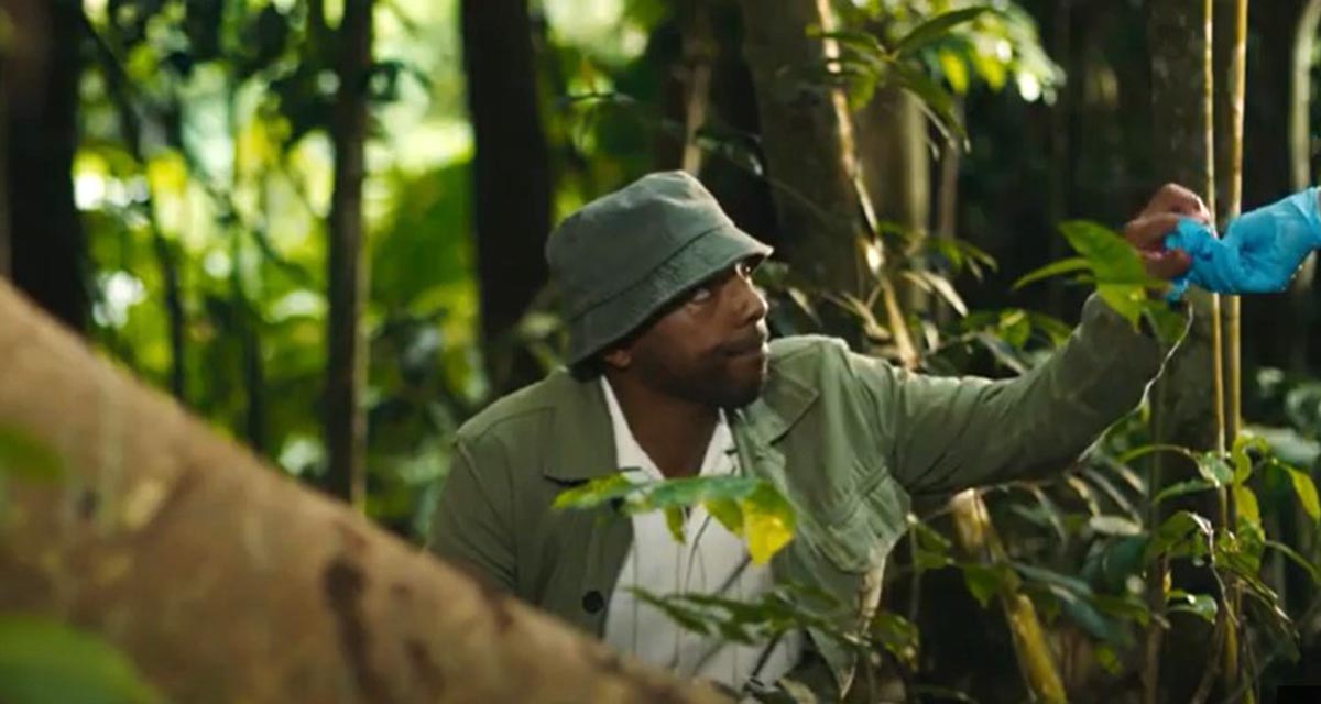 Meurtres au paradis : un départ inattendu après l’arrivée de Don Gillet (Mervin Wilson) Meurtres au paradis : un départ inattendu après l’arrivée de Don Gillet (Mervin Wilson)