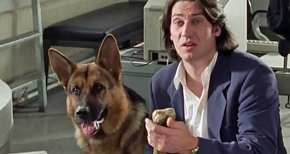 Rex : le chien flic fait des miracles sur France 3 Rex : le chien flic fait des miracles sur France 3