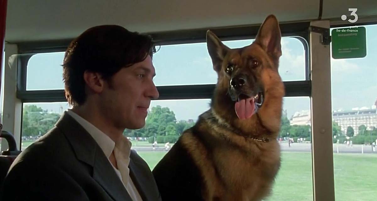 Rex, le chien flic : cette incroyable nouvelle qui vient de tomber