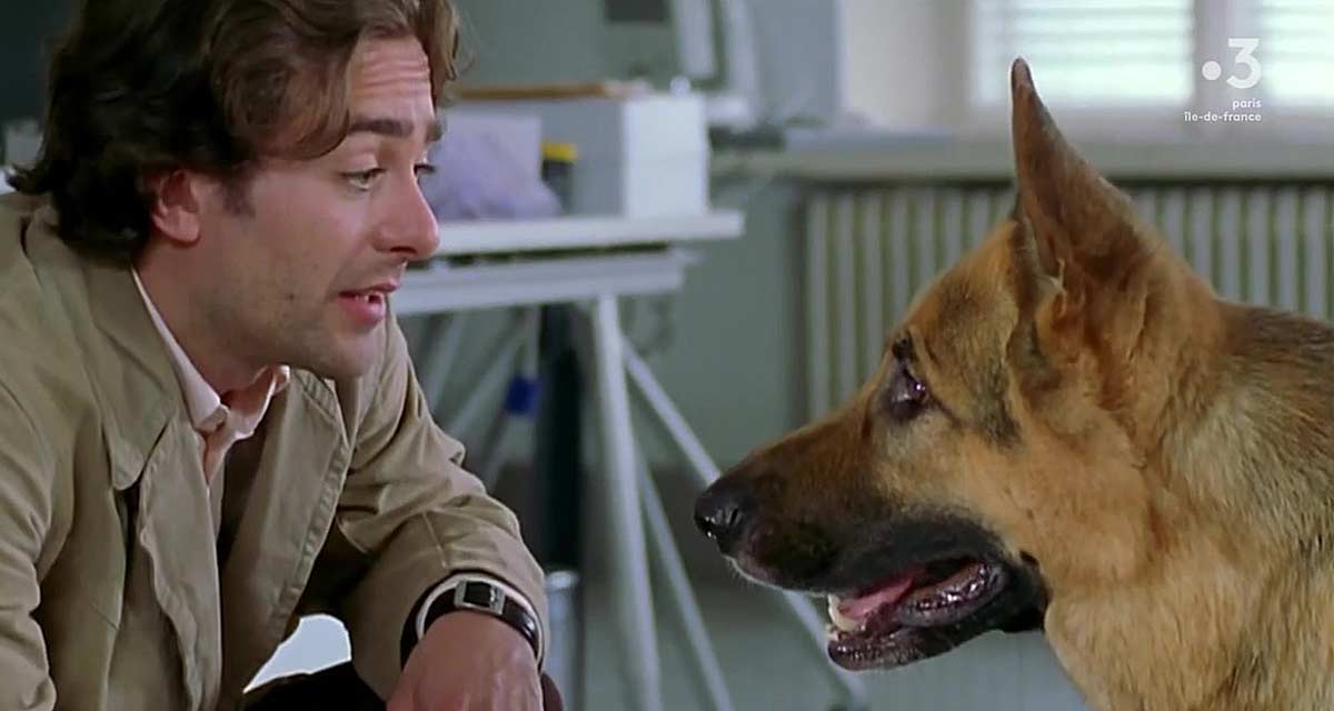 Rex : le chien flic censuré sur France 3